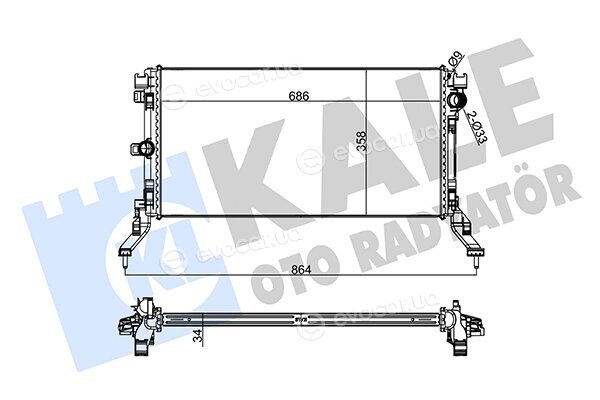 Kale 273800