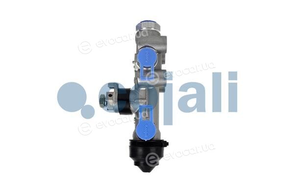 Cojali 2314303