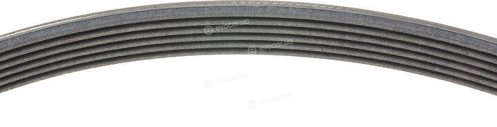 Continental 6PK1822 EXTRA
