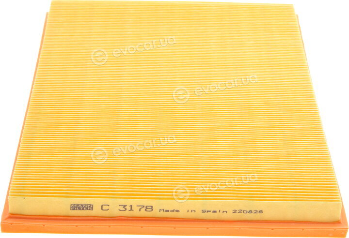 Mann C 3178