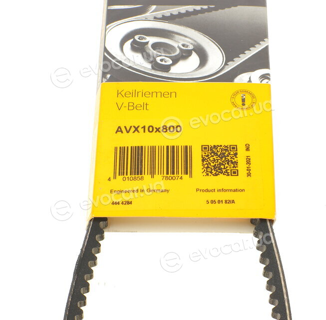 Continental AVX10X800