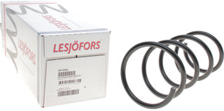 Lesjofors 4072981