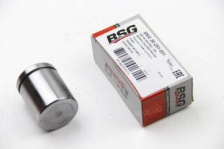 BSG BSG 30-251-001