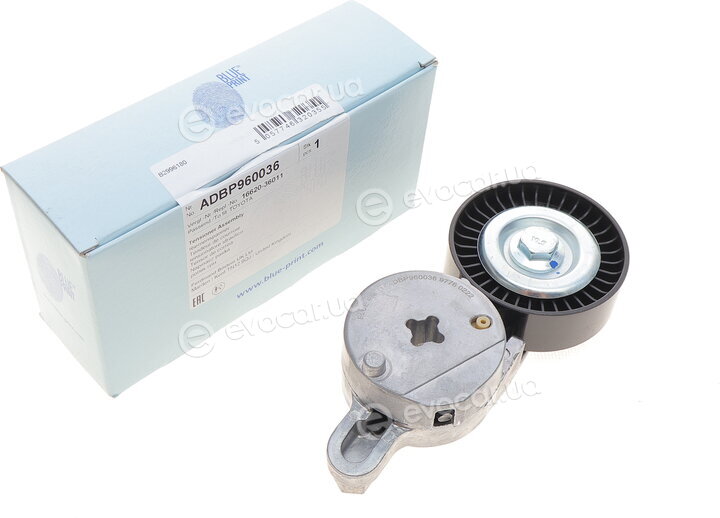 Blue Print ADBP960036
