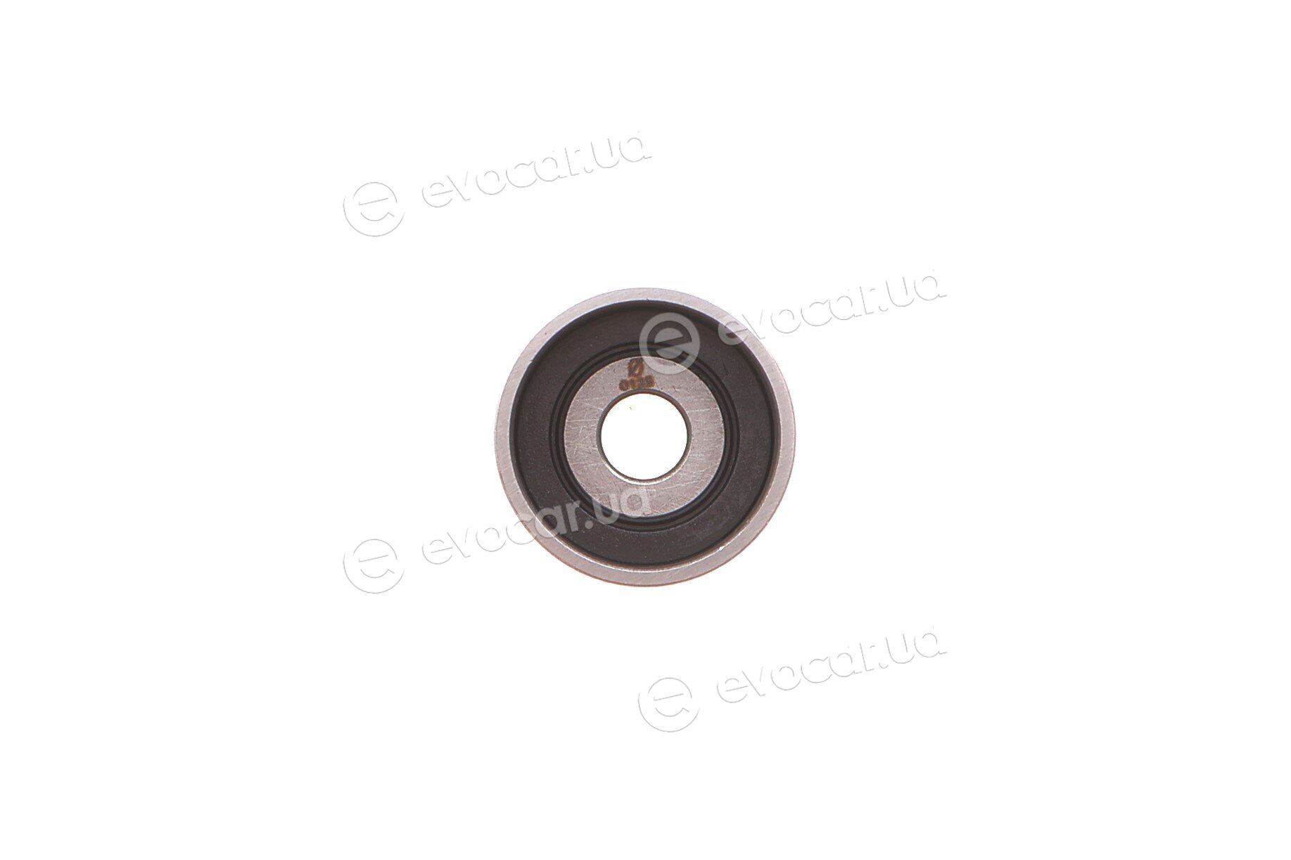 Motive TBK4982WP
