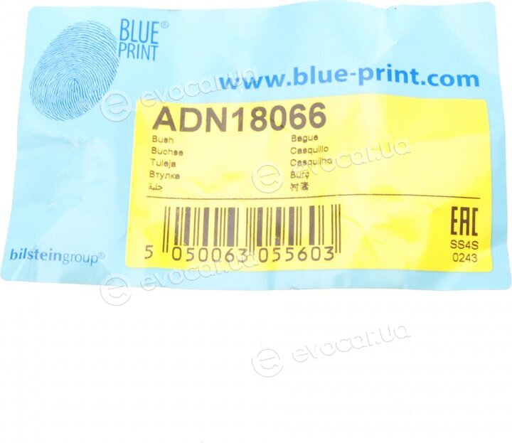 Blue Print ADN18066