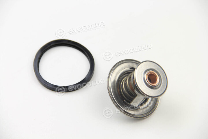 Motorad 234-84K