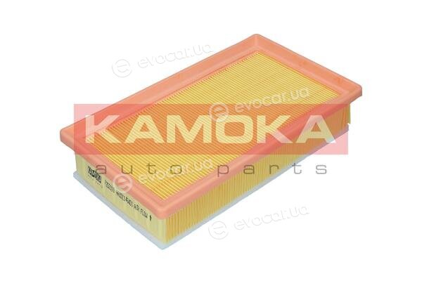Kamoka F252101