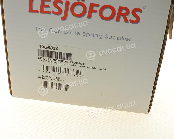 Lesjofors 4066824