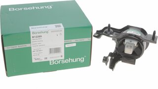 Borsehung B12269