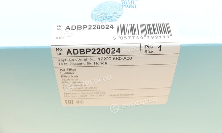 Blue Print ADBP220024