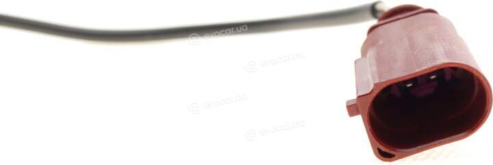Solgy 115089
