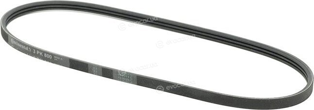 Continental 3PK800