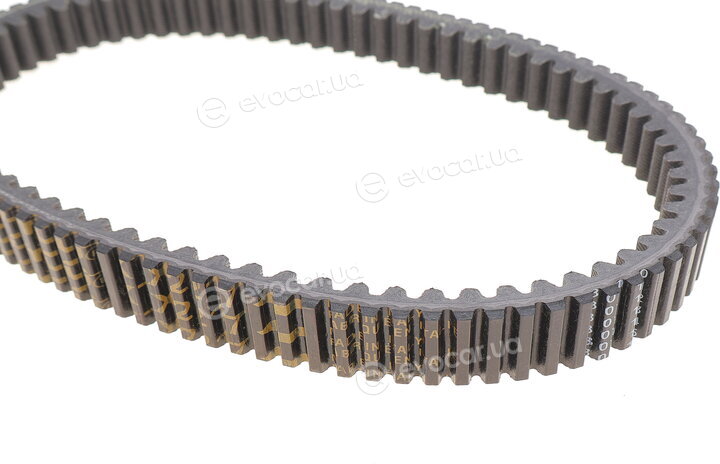 Dayco XTX2217