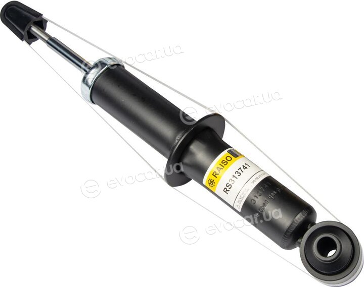 Raiso RS313741