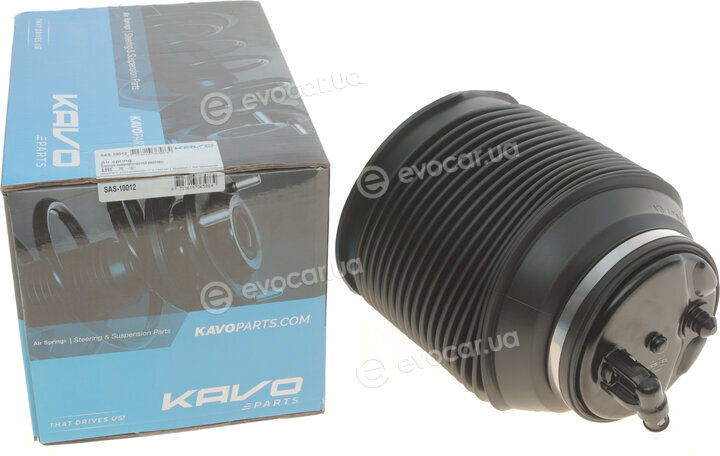 Kavo SAS-10012