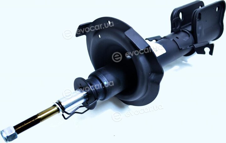 Raiso RS310016