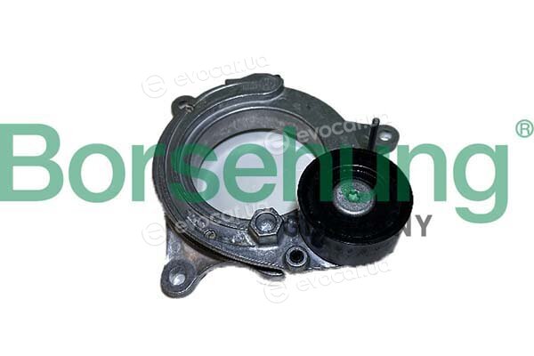 Borsehung B12468