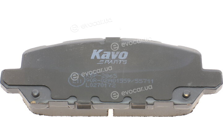 Kavo KBP-2065