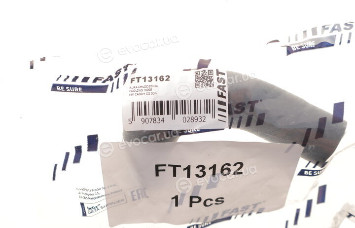 Fast FT13162
