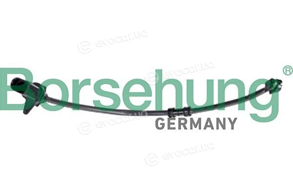 Borsehung B13385
