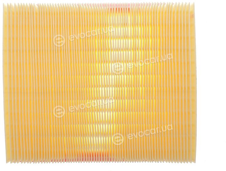 Solgy 103165