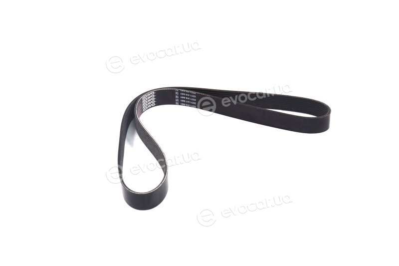Dayco 8PK1173HD