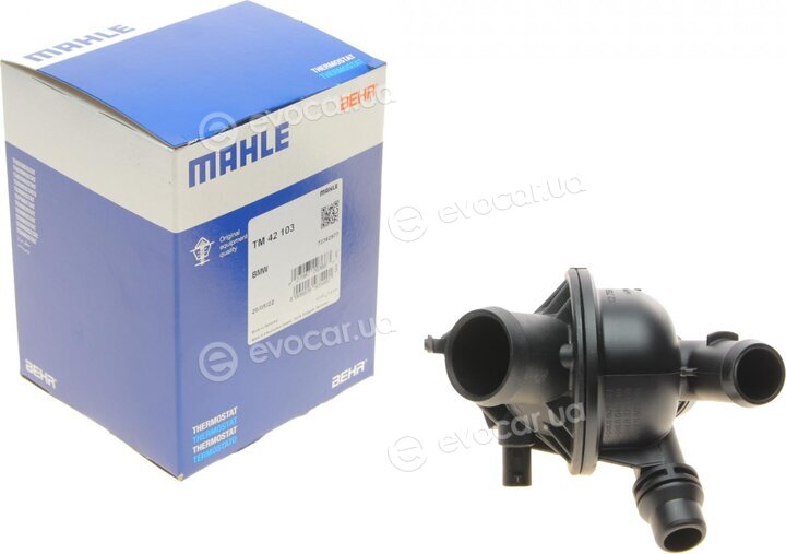 Mahle TM 42 103