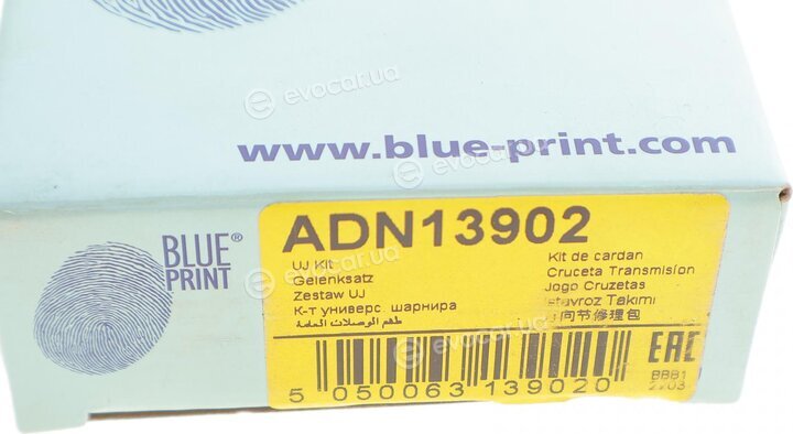 Blue Print ADN13902