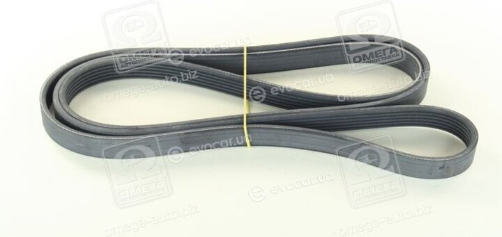 Continental 6PK2130