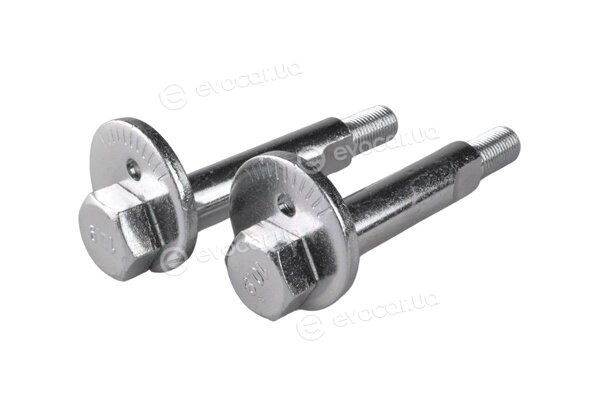 Tedgum TED64585