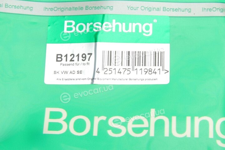 Borsehung B12197