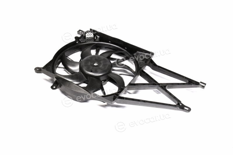 AVA OL7524