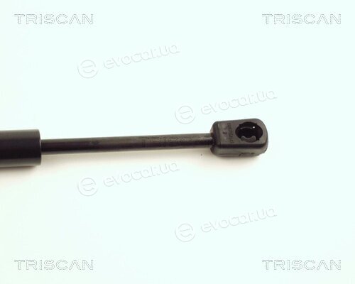 Triscan 8710 16104