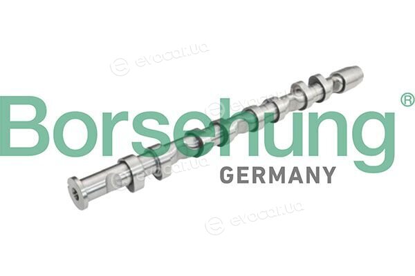 Borsehung B13032