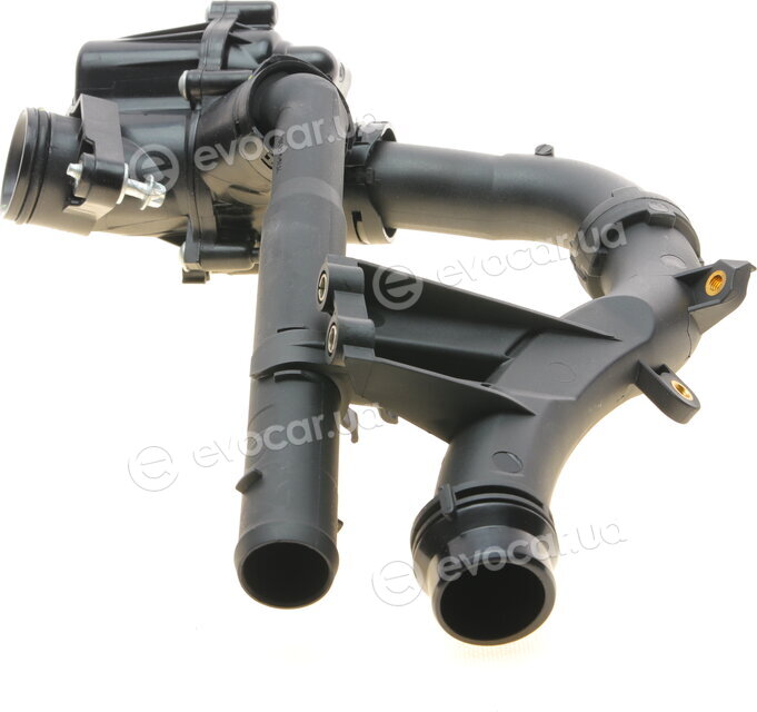 Bogap C4245109