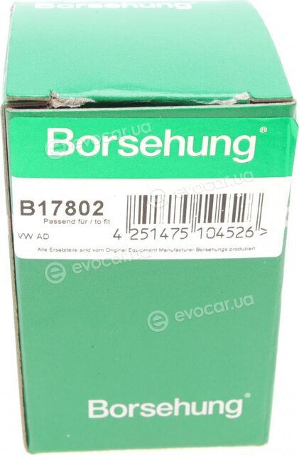 Borsehung B17802