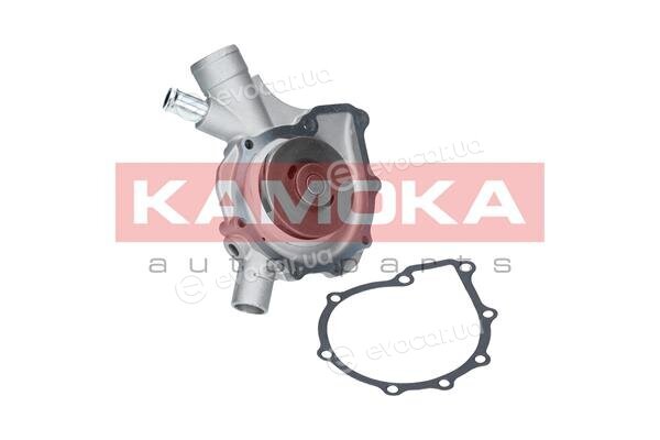 Kamoka T0197