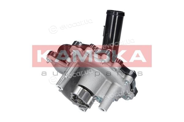 Kamoka T0096