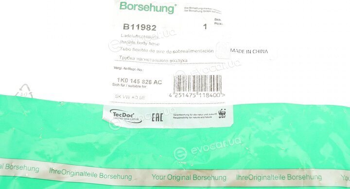 Borsehung B11982