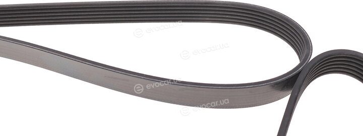Dayco 6PK2280