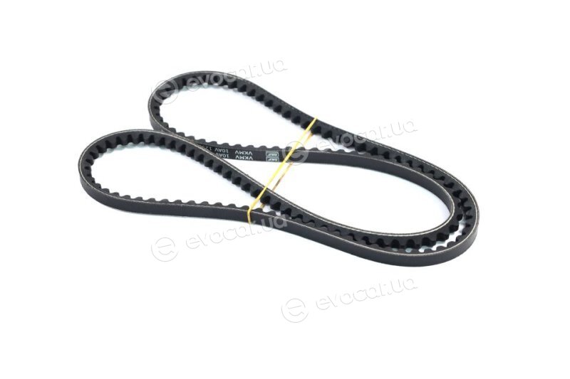 SKF VKMV 10AVx1250