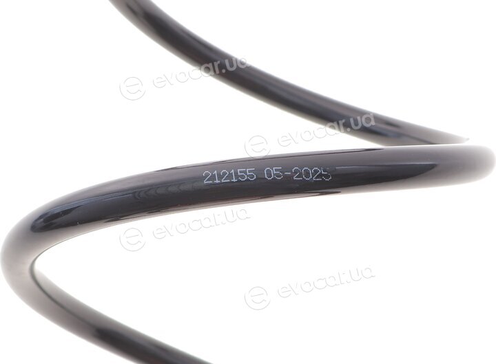 Solgy 212155
