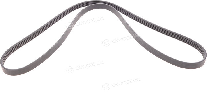 Continental 5PK1592