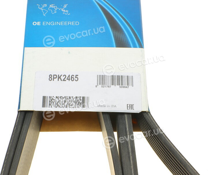 Dayco 8PK2465