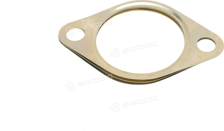Elring 855.060