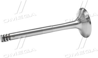 Gunes 6018