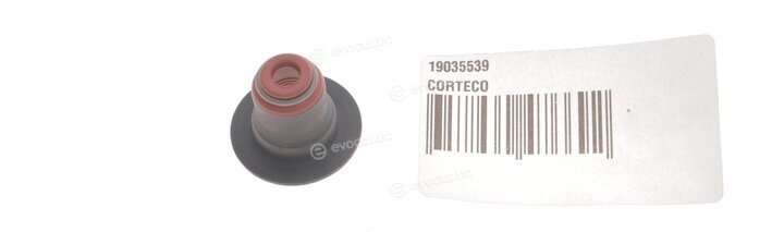 Corteco 19035539B