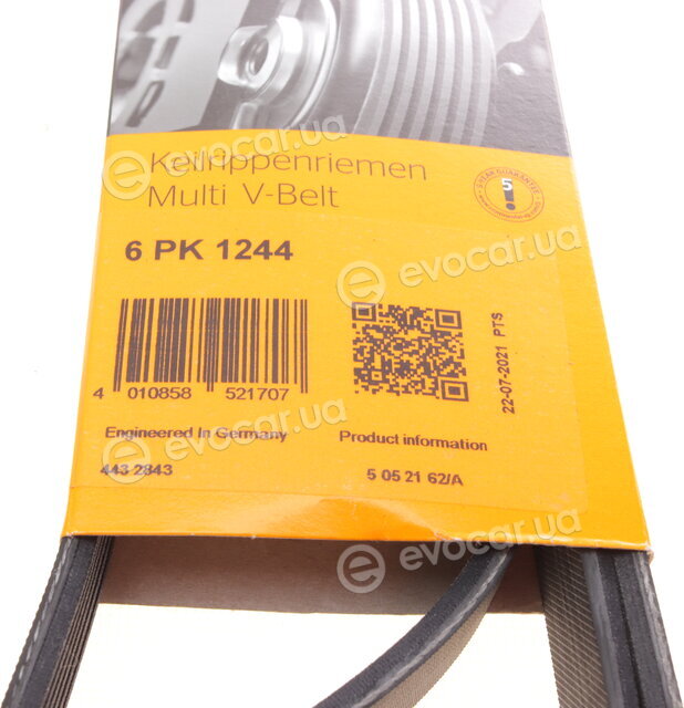 Continental 6PK1244