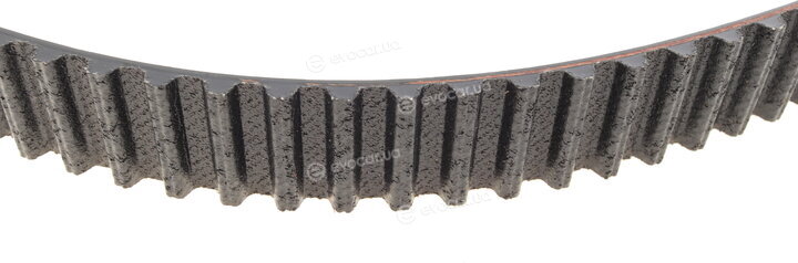 Dayco 941117